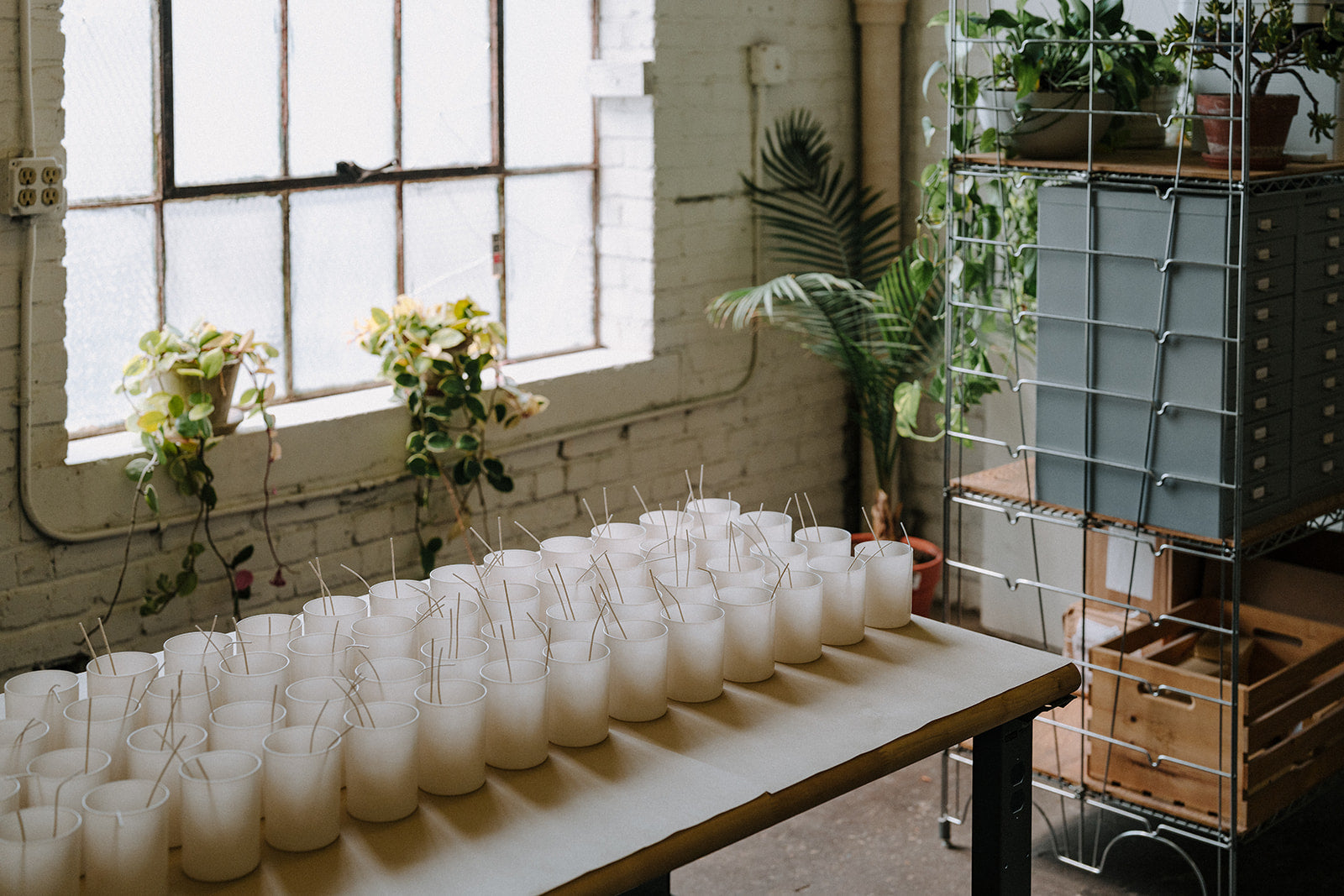 Neroli + Musk – Sydney Hale Company