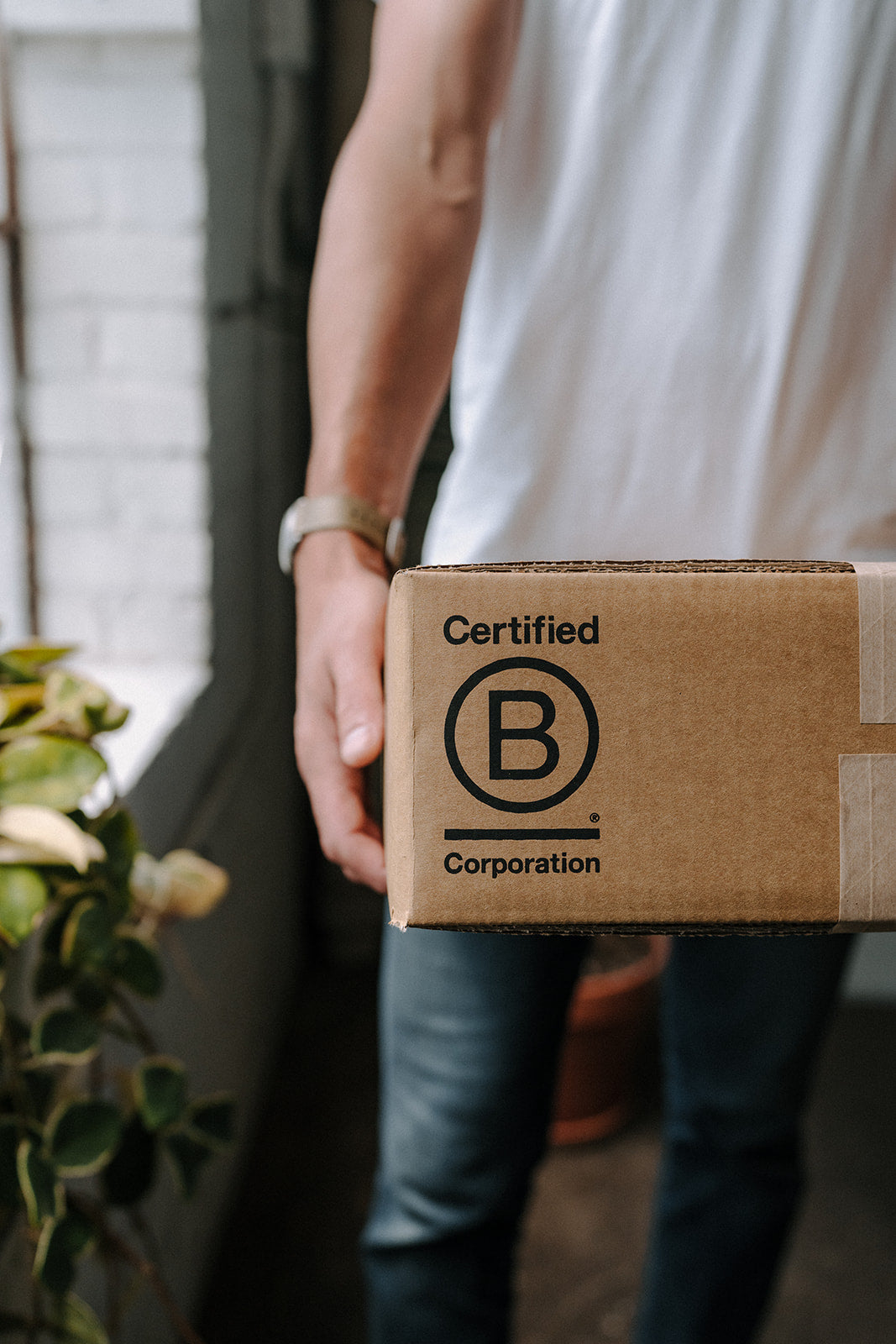 Our Story Sydney Hale Company