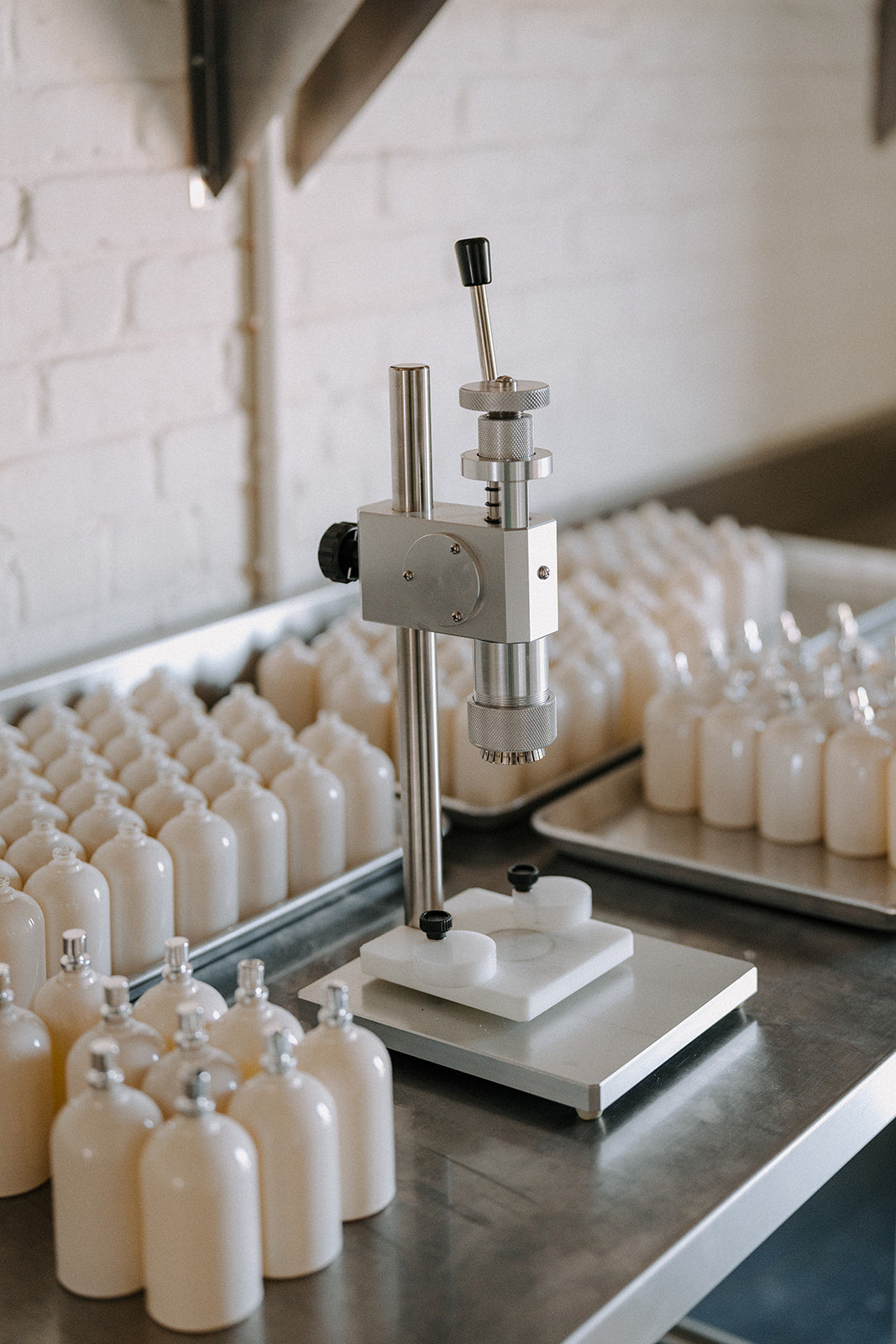 Bergamot + Black Tea – Sydney Hale Company